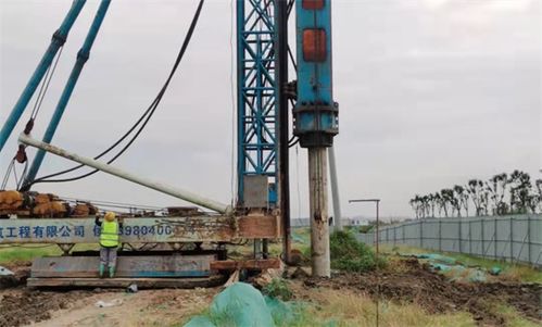 玉湖冷鏈深度融入四川國際供應鏈建設，推動施工工程高效落地