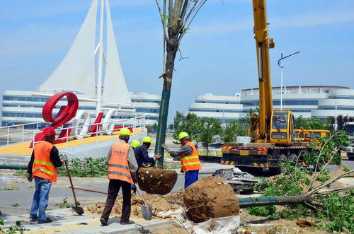 濱海區加速項目建設，全力打造精品工程