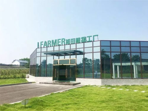 陜西旭田植物工廠在渝成功投產，總投資約800萬助力現代農業發展